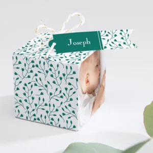 Boite dragees bapteme Petit ange feuillage*Faire-part Elégant Discount
