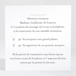 Carton reponse mariage Ananas*Faire-part Elégant Hot