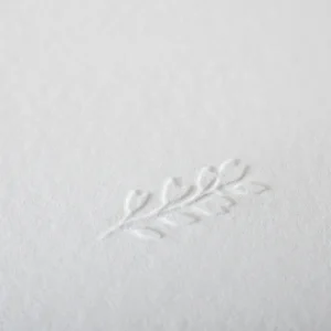 Faire-part de bapteme Petit feuillage*Faire-part Elégant New