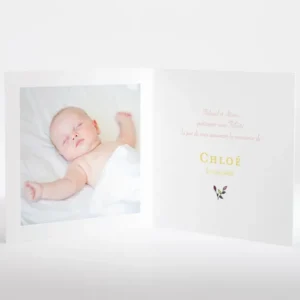 Faire-part de naissance A l'ombre du grand arbre*Faire-part Elégant New