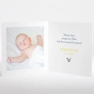 Faire-part de naissance A l'ombre du grand arbre*Faire-part Elégant New
