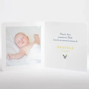 Faire-part de naissance A l'ombre du grand arbre*Faire-part Elégant New