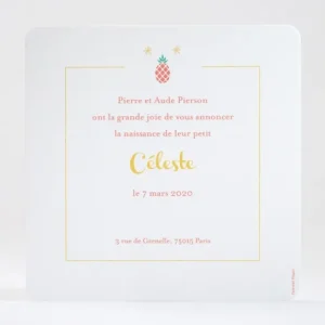 Faire-part de naissance Ananas*Faire-part Elégant Outlet