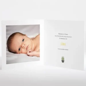 Faire-part de naissance Attrape-reve*Faire-part Elégant Sale