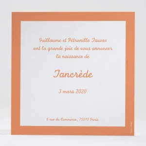 Faire-part de naissance Au pays des ballons*Faire-part Elégant Sale