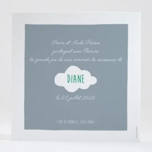 Faire-part de naissance Avion d'antan simple*Faire-part Elégant Clearance