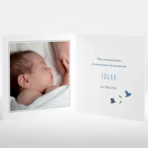 Faire-part de naissance Bercement chant d'oiseaux*Faire-part Elégant Best