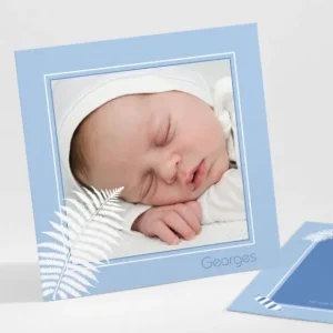 Faire-part de naissance Bonbons et feuilles*Faire-part Elégant Discount