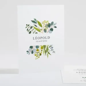 Faire-part de naissance Bouquet delicat*Faire-part Elégant New