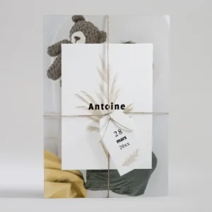 Faire-part de naissance Bouquet seche*Faire-part Elégant Discount