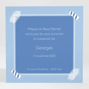 Faire-part de naissance Bonbons et feuilles*Faire-part Elégant Discount