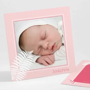 Faire-part de naissance Bonbons et feuilles*Faire-part Elégant Discount