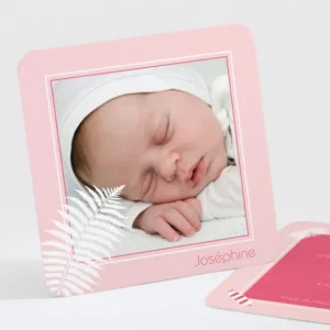 Faire-part de naissance Bonbons et feuilles*Faire-part Elégant Discount
