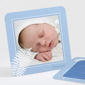 Faire-part de naissance Bonbons et feuilles*Faire-part Elégant Discount
