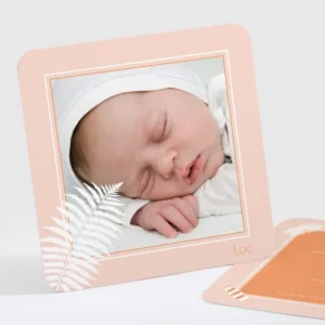 Faire-part de naissance Bonbons et feuilles*Faire-part Elégant Discount