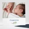 Faire-part de naissance Branche de pin*Faire-part Elégant Best