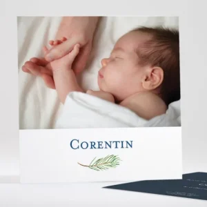 Faire-part de naissance Branche de pin*Faire-part Elégant Best