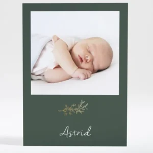 Faire-part de naissance Brindille doree*Faire-part Elégant New