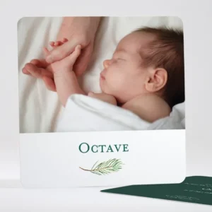 Faire-part de naissance Branche de pin*Faire-part Elégant Best