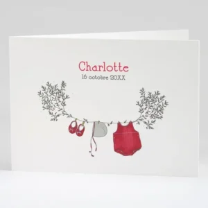 Faire-part de naissance Branche de douceur livret*Faire-part Elégant Fashion