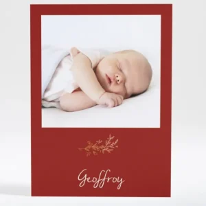 Faire-part de naissance Brindille doree*Faire-part Elégant New