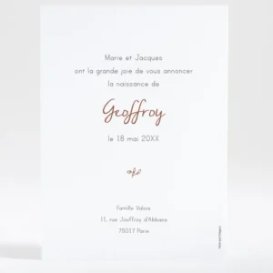 Faire-part de naissance Brindille doree*Faire-part Elégant New