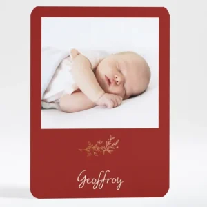 Faire-part de naissance Brindille doree*Faire-part Elégant New