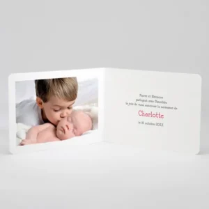 Faire-part de naissance Branche de douceur livret*Faire-part Elégant Fashion