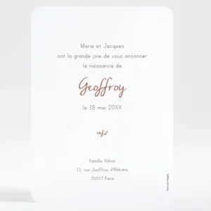 Faire-part de naissance Brindille doree*Faire-part Elégant New