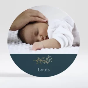 Faire-part de naissance Brindille doree rond*Faire-part Elégant New