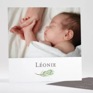 Faire-part de naissance Branche de pin*Faire-part Elégant Best