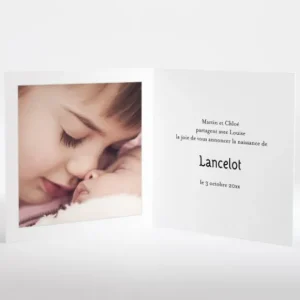 Faire-part de naissance Branches legeres*Faire-part Elégant Fashion