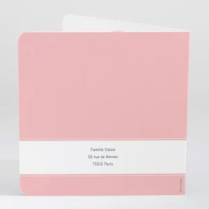 Faire-part de naissance Calin frangine*Faire-part Elégant Online