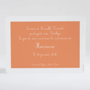 Faire-part de naissance Cadre sobre et elegant*Faire-part Elégant New
