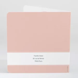 Faire-part de naissance Calin frangin*Faire-part Elégant Discount