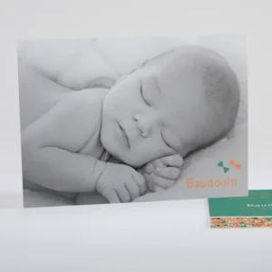 Faire-part de naissance Cerf volant liberty*Faire-part Elégant Online