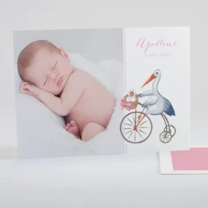 Faire-part de naissance Cigogne chic*Faire-part Elégant New