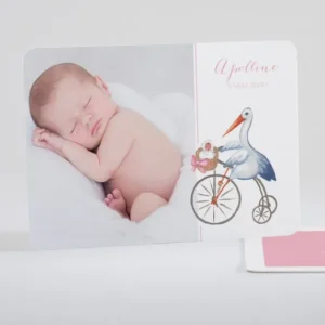 Faire-part de naissance Cigogne chic*Faire-part Elégant New