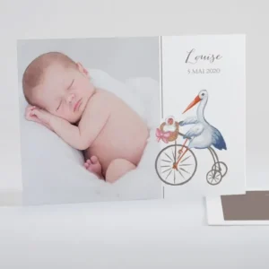 Faire-part de naissance Cigogne chic*Faire-part Elégant New