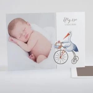 Faire-part de naissance Cigogne chic*Faire-part Elégant New