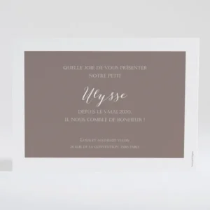 Faire-part de naissance Cigogne chic*Faire-part Elégant New