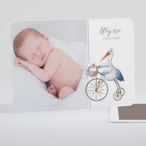 Faire-part de naissance Cigogne chic*Faire-part Elégant New