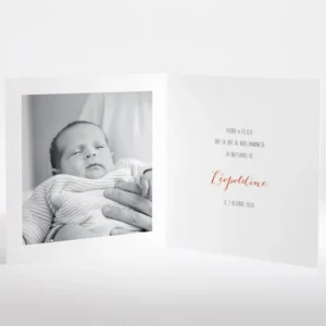 Faire-part de naissance Couronne Fille*Faire-part Elégant Hot