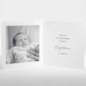 Faire-part de naissance Couronne Fille*Faire-part Elégant Hot