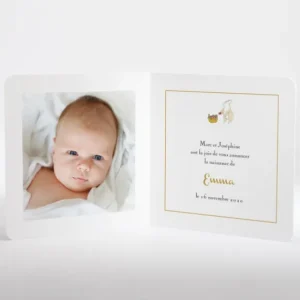 Faire-part de naissance Cueillette*Faire-part Elégant Fashion
