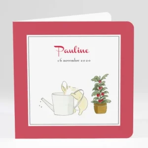 Faire-part de naissance Cueillette*Faire-part Elégant Fashion