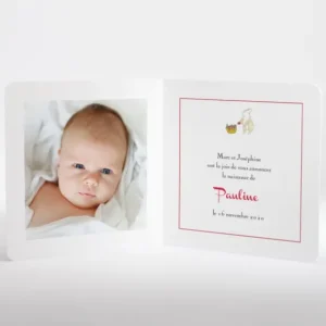 Faire-part de naissance Cueillette*Faire-part Elégant Fashion