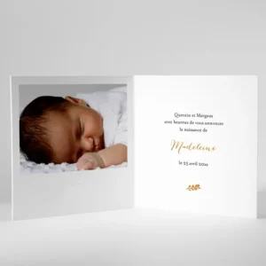 Faire-part de naissance Delicate brindille*Faire-part Elégant New