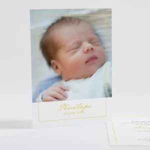 Faire-part de naissance Delicat filet*Faire-part Elégant Online