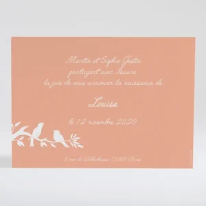 Faire-part de naissance Deux polaroids tresses*Faire-part Elégant Outlet